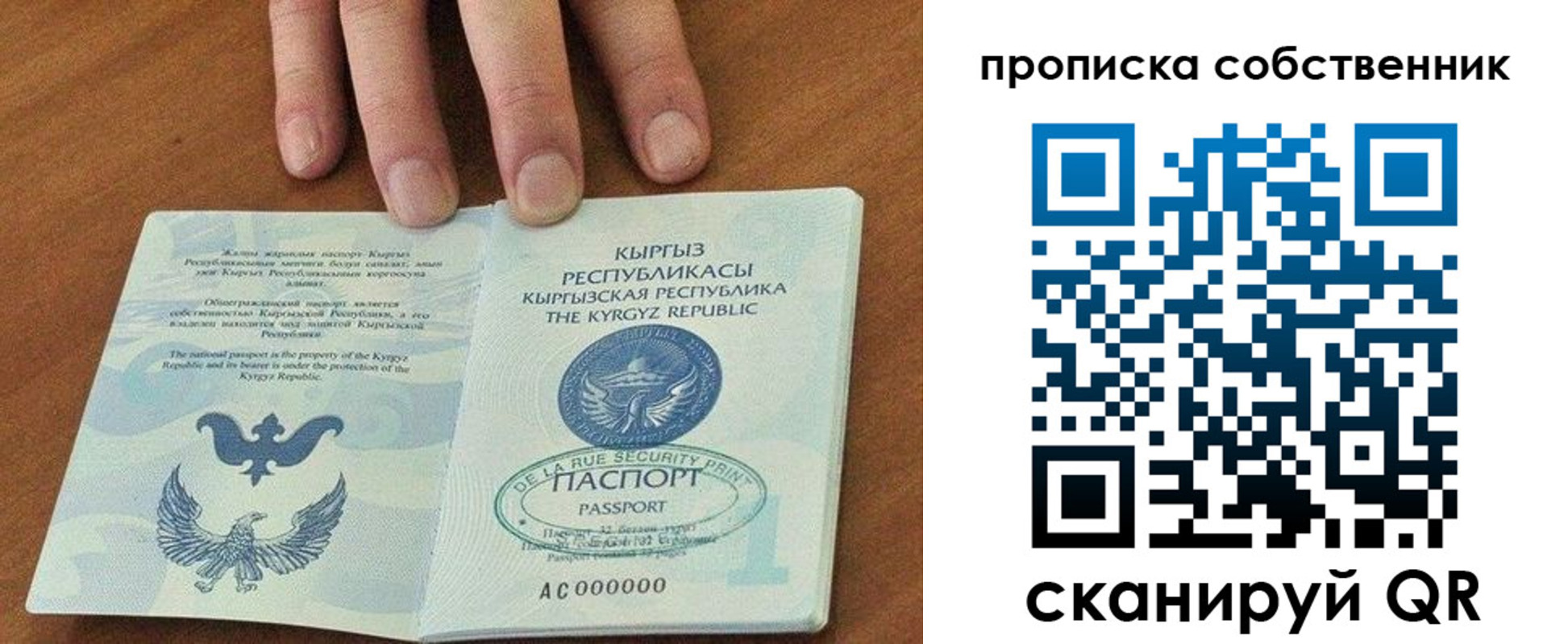 временная регистрация надежно в Бикине